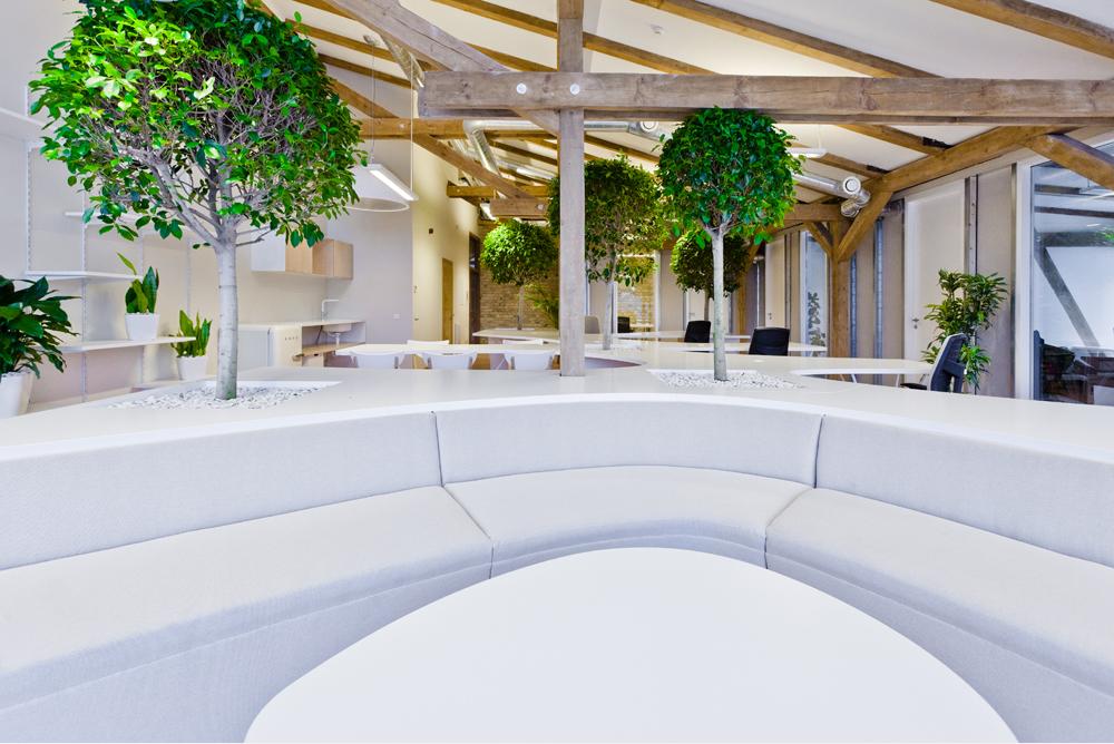 Greenhouse 辦公室裝修設(shè)計-第2張圖片-上海古都建筑設(shè)計集團(tuán)