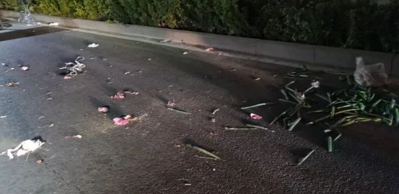 山某小区附近真实一幕被曝光！凯时尊龙人生就是博闹心！唐(图1)